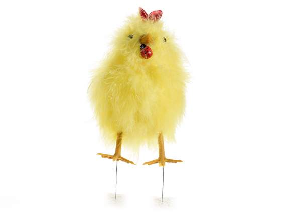 Gallina de plumas reales para apoyar con la mariquita