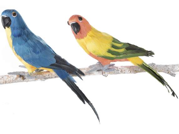 Pappagallo variopinto con filo modellabile per fissarlo