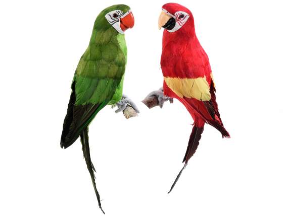 Pappagallo variopinto con filo modellabile per fissarlo