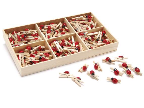 Boîte de 144 pinces à linge décoratives en bois avec coccine