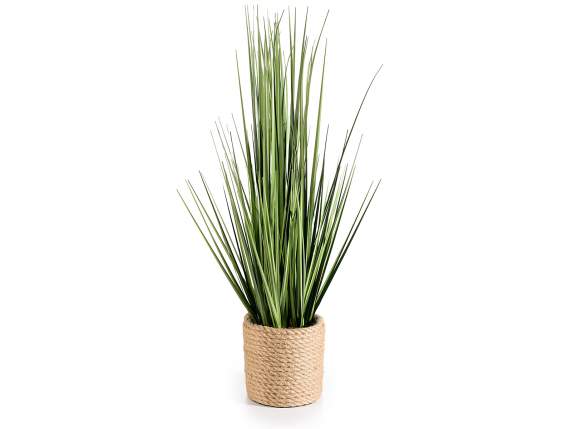 Plante ornementale verte en pot de corde