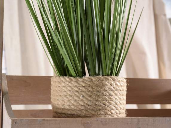 Plante ornementale verte en pot de corde