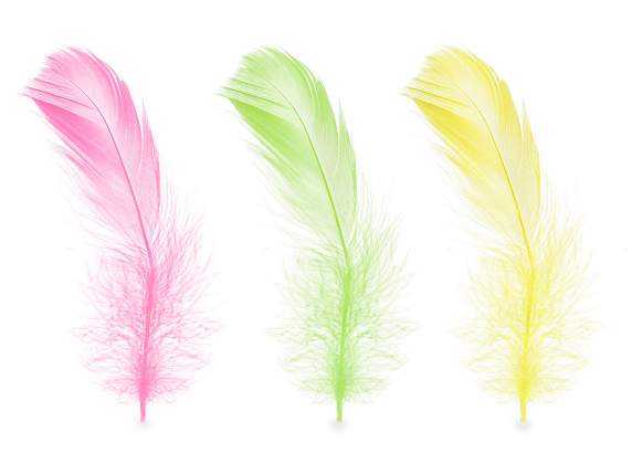 Pack de plumas de colores decorativas 20gr