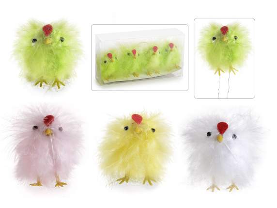 Caja de PVC con 4 gallinas con plumas de colores reales.