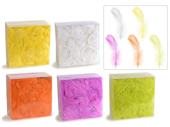 Scatola di piume colorate 20g