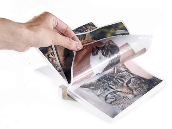 Scatola portafoto in legno con 4 album Pretty Cat