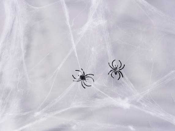Pack toile daraignée blanche 200g avec 15 araignées