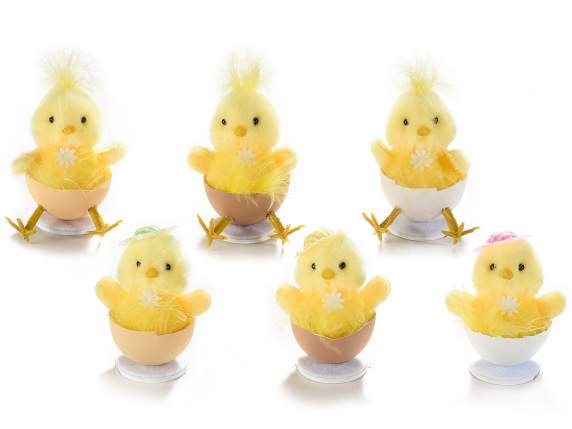 Standing chick into egg with tuft of feathers or hat