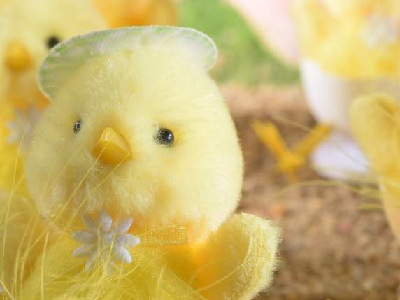 Standing chick into egg with tuft of feathers or hat