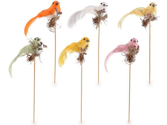 Colorful bird with straw on wooden stick