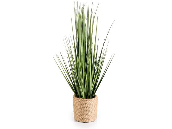 Ornamental plant in rope pot