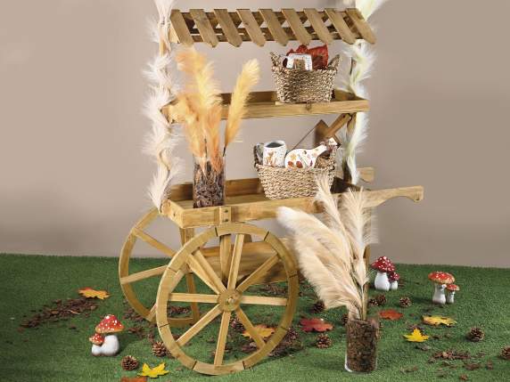Display and decorative cart in natural wood 3 shelves