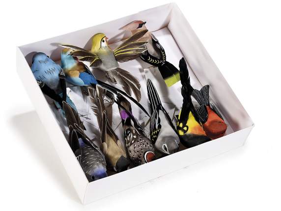 Box of 10 hand painted birds, real feather tail and clip
