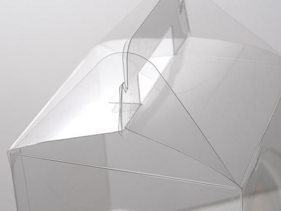 Boîte rectangulaire en PET avec poignée - qualité alimentair