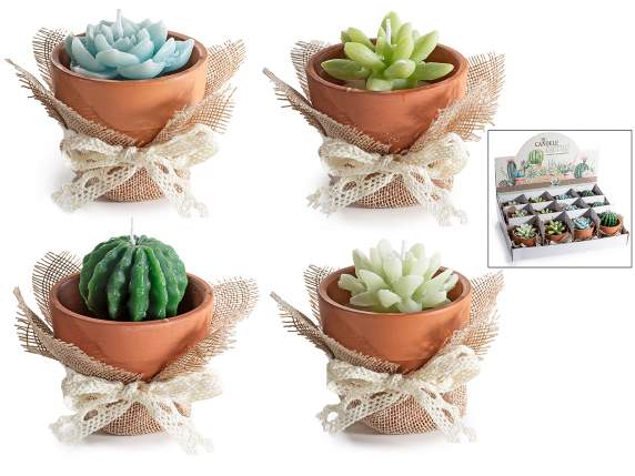Bougie plante grasse en pot de terre cuite et emballage jute