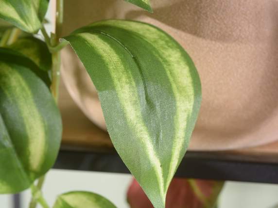 Branche de Tradescantia artificielle suspendue