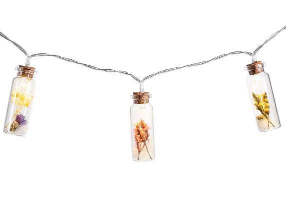 Boîte avec chaîne 10 tubes à essai de fleurs séchées neige