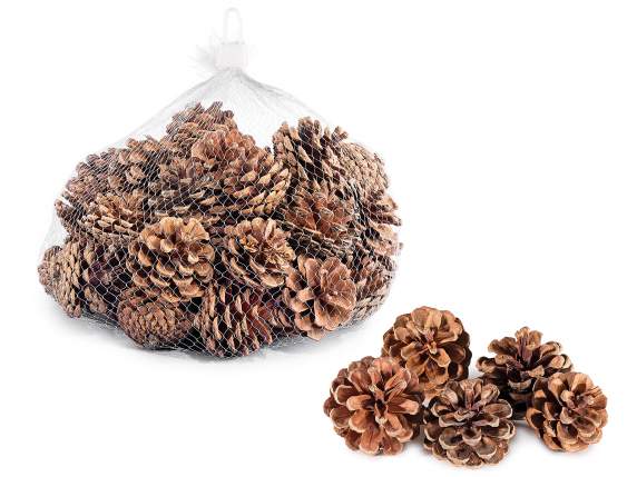 Pachet de 500 g de conuri de pin decorative naturale