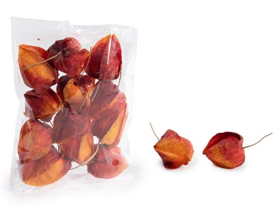 Pachet de 12 fructe padure artificiale de iarna cu tulpina