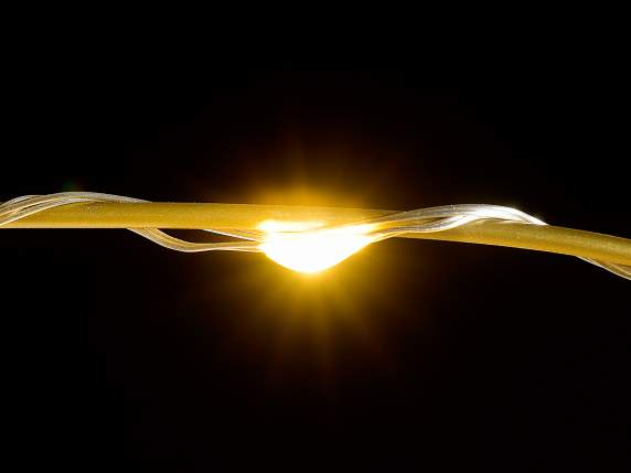 Albero m 1,80H oro, 1300 LED bianco caldo, 225 rami