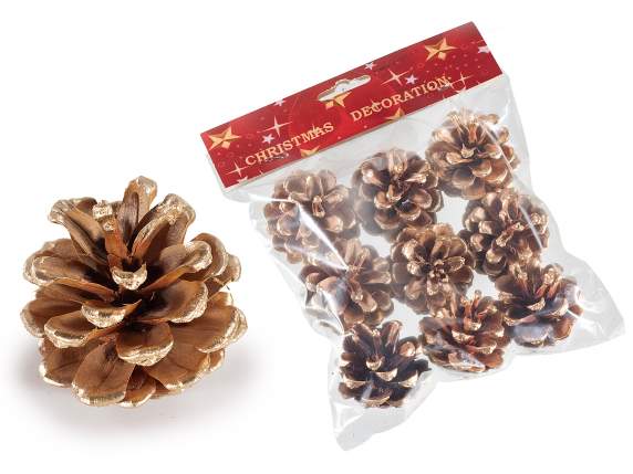 Confezione 9 pigne naturali dorate