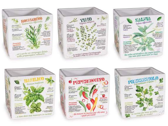Vaso in ceramica con decori piante aromatiche e scritte