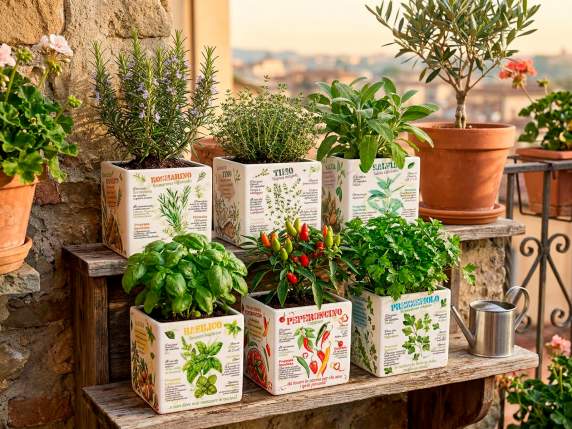 Vaso in ceramica con decori piante aromatiche e scritte