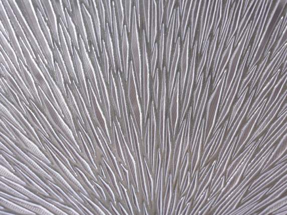 Set de table rond sculpté en argent