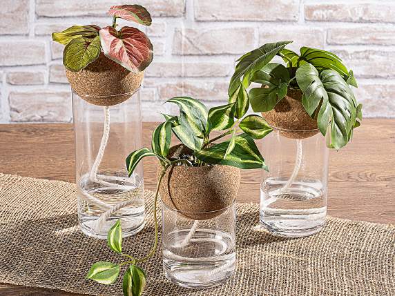 Lot de 3 vases en verre et liège avec corde pour culture hyd