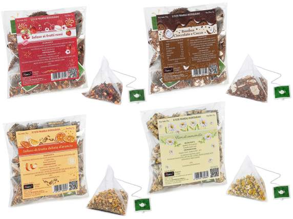 Pack of 10 pyramid filters of infusions in a 500ml Christmas