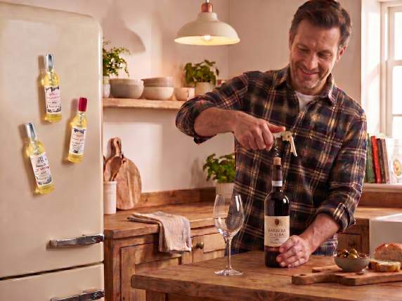 Wine-beer bottle opener with magnet