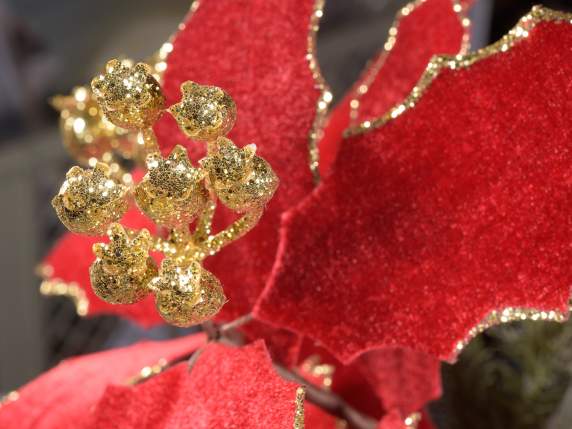 Red poinsettia branch w- berries and gold glitter edges
