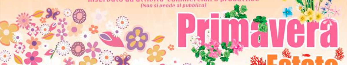 Primavera 2025