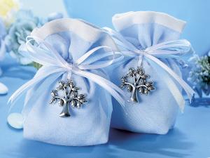 Baby blue: birth and favors