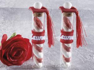 Test tube favor holder graduation favors