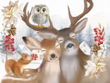 Amici Della Neve