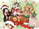 Christmas Pets