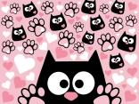 Ciccio Cat