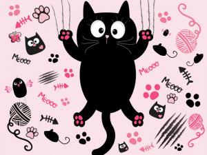 Ciccio cat