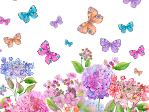 Design farfalle: colori in volo