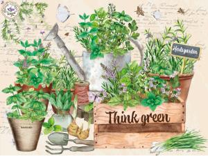 Erbe Aromatiche