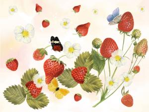 Fragole, un design di dolcezza!