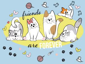 Happy Cats: irreverenza felina Happy Cats: irreverenza felina