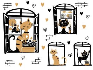 Pretty Cat, eleganza felina Pretty Cat, eleganza felina