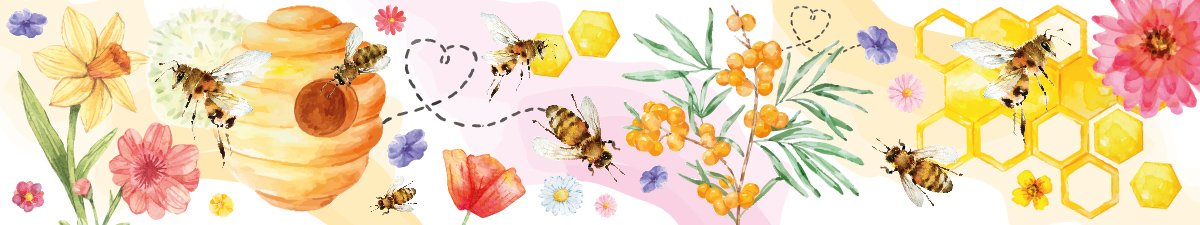 Bienenhonig: eine Fülle an Süße
