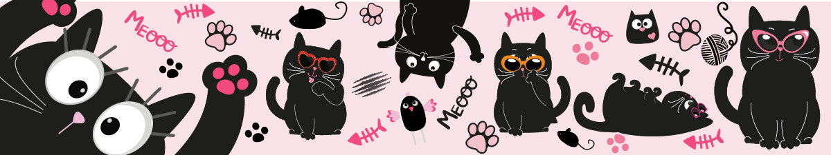 Ciccio cat