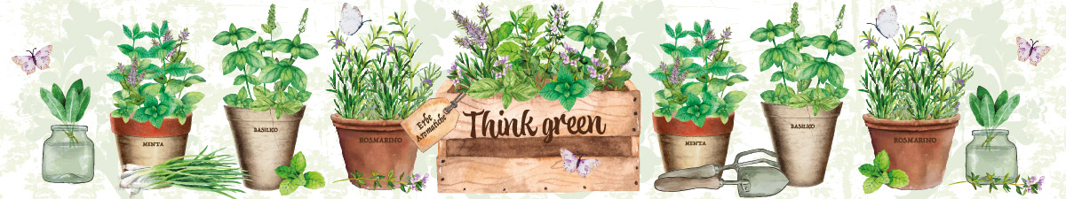 Erbe Aromatiche