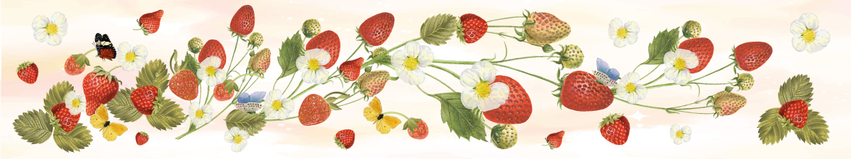 Fragole, un design di dolcezza!