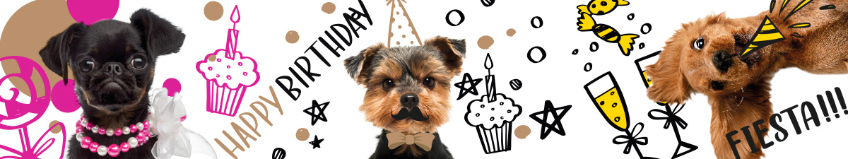 Happy Birthday: decorazioni e compleanni