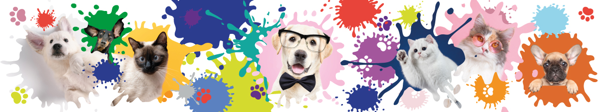 Pet Color